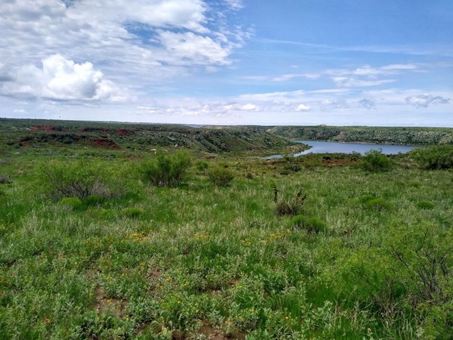 View of green grass, yucca, and mesquite covered mesa top looking out over Lake Meredith. Sky is partly cloudy.