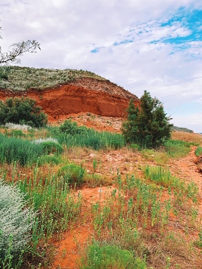 Permian Redbeds with green grasses and plants. The skies are blue.