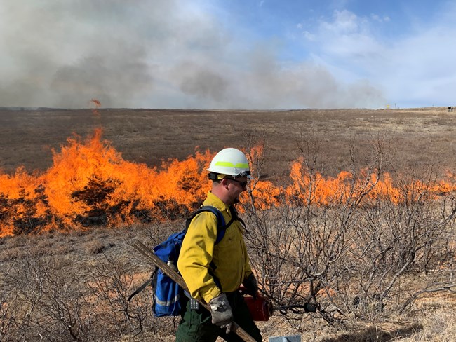 Image of a NPS firefighter igniting prescribed burn area. A line of fire blazes in the background. Dormant mesquite and grass are between the firefighter and the fire.
