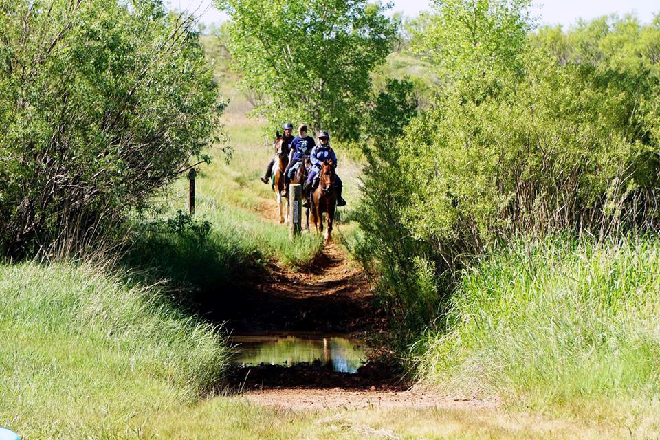 Riders returning to the Devil's Canyon trailhead.  There are large green cottonwood trees and other vegetation along the trail.