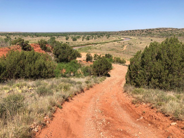 Trail at Rosita with green vegetation and Juniper trees.  The trail is a rusty orange dirt road