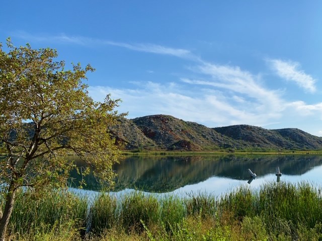 Wetlands