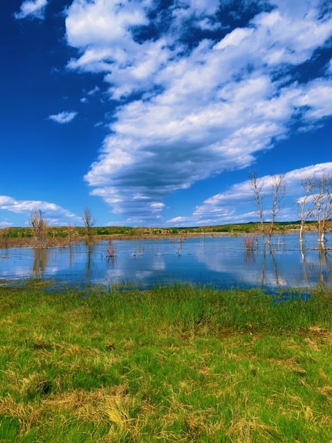 Riparian Area