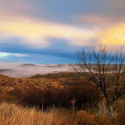 Sudden fog rolling into the canyons near sunrise. The sunrise is yellow and blue with white and gray fog. There are also mesquite trees and winter grasses in the picture.