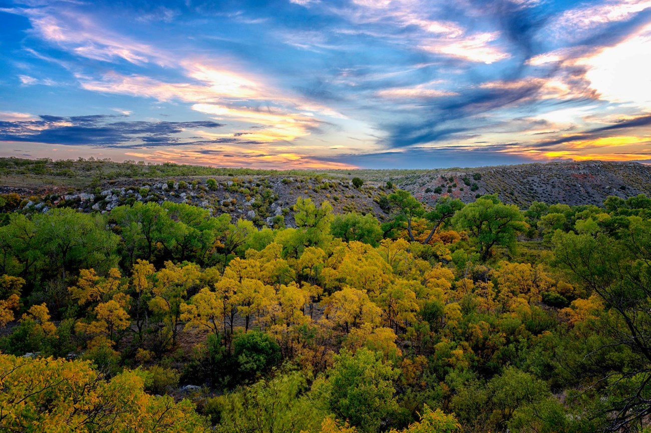 Sunset at McBride Canyon during the fall season with trees of yellow, orange and green.  The sky is yellow, blue, and orange with the sun setting.