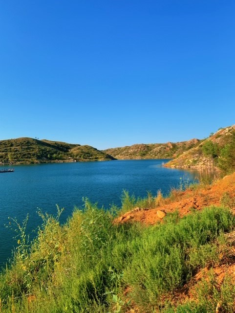 Shoreline Habitat