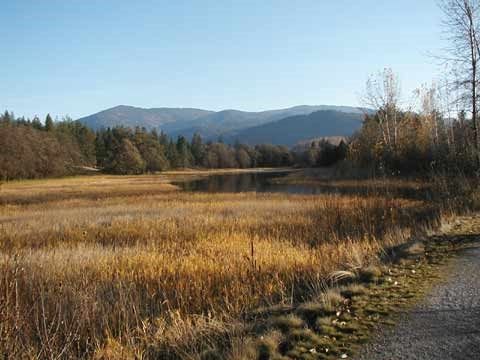 View from the Kettle Falls trail. Autumn colored grasses, orange and brown, with rising pool of water in distance.