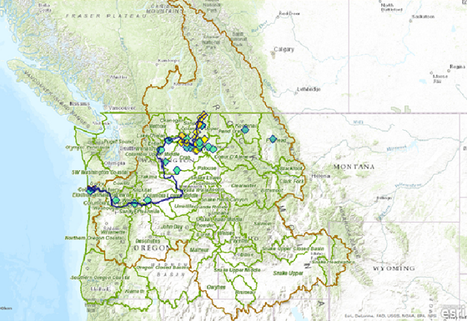 Map of the network Map of the network