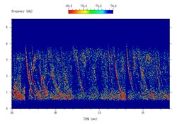 Spectrogram image of an earth whistler space audio file.