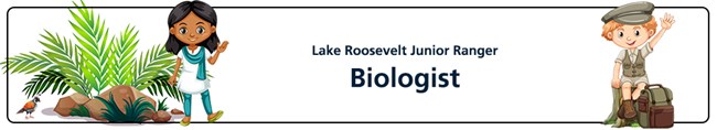 Junior Ranger Biologist