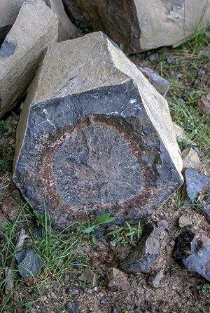 A cross section of hexagonal columnar basalt.