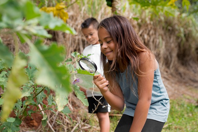 A child with a magnifying glass examines a leaf while another child explores the forest beyond.