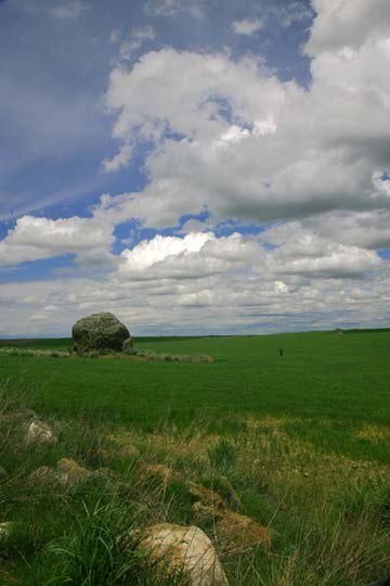 A large boulder sits in the middle of a green field. Overhead, the sky is blue with puffy, white clouds.
