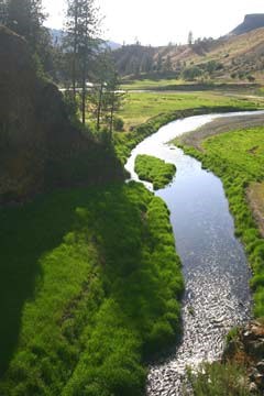 View of Hawk Creek form a cliff. The creek winds its way through green grass land. View of Hawk Creek form a cliff. The creek winds its way through green grass land.