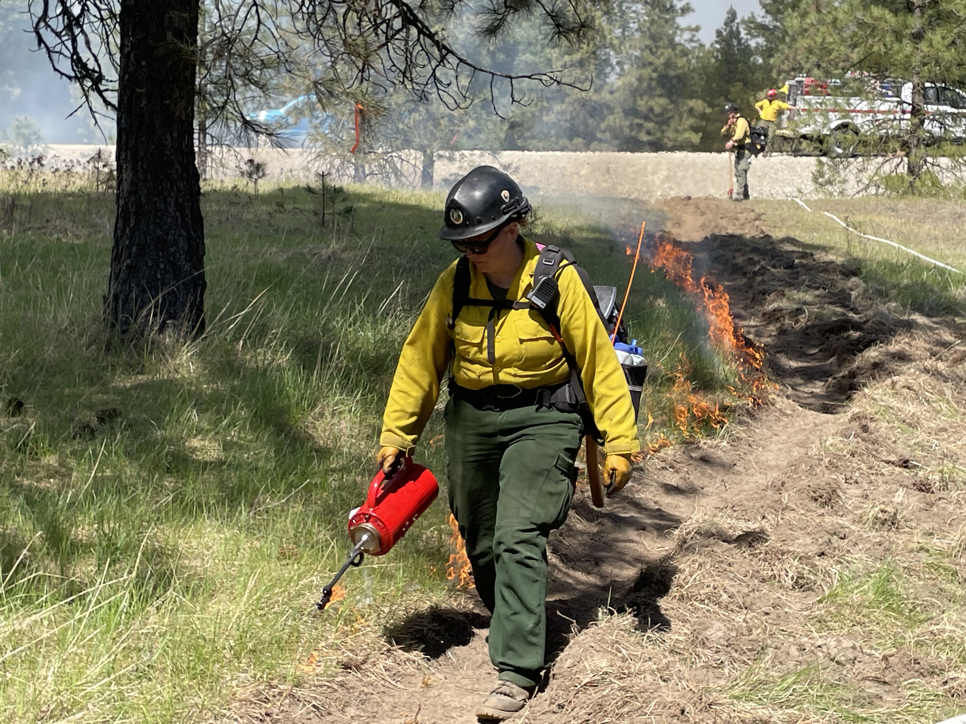 NPS Image A wildland firefighter conducts a prescribed handline ignition during a fire management operation, using a drip torch to establish a controlled fire along the prepared line. Additional firefighters and equipment are visible in the background.