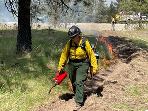 NPS Image A wildland firefighter conducts a prescribed handline ignition during a fire management operation, using a drip torch to establish a controlled fire along the prepared line. Additional firefighters and equipment are visible in the background.