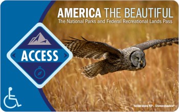 The interagency access pass card, which shows a picture of an owl in flight over a field on the right of the card, and a blue Accessible symbol of the left.