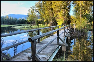 A bridge crosses a stream at Kettle Falls with autumn colors all around.