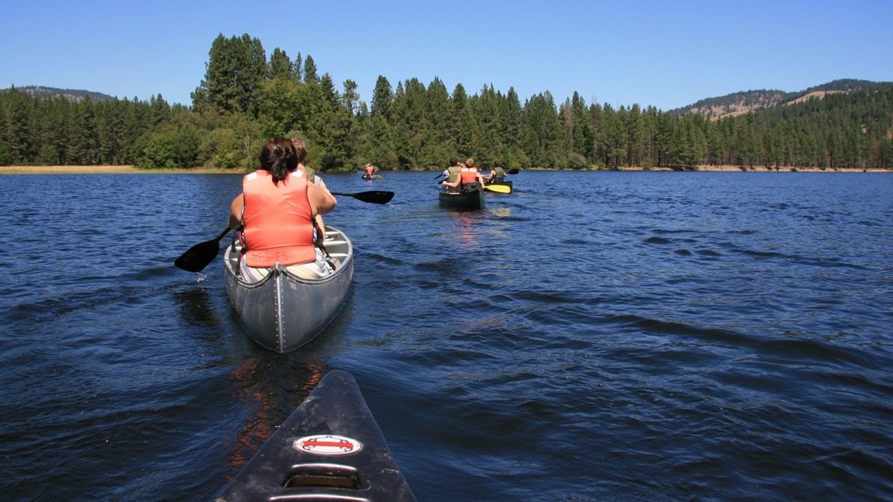 a group of people canoes on the lake toward a shoreline with trees