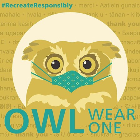Graphic reading "Owl Wear One" with a mustard yellow owl wearing a teal green mask.