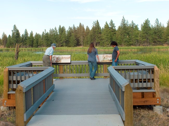 Three adults stand on a boardwalk overlooking a wetland.