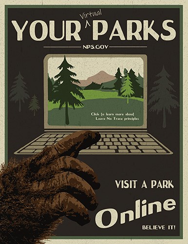 Bigfoot using the computer to visit the national parks.