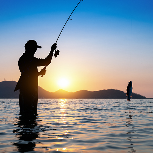 Fishing - Lake Roosevelt National Recreation Area (U.S. National Park  Service)