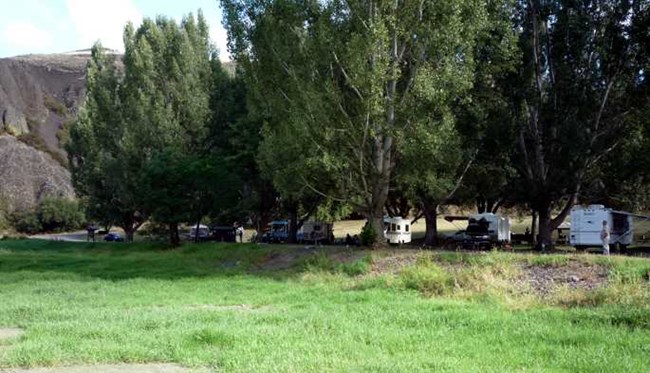 campsites among shady trees