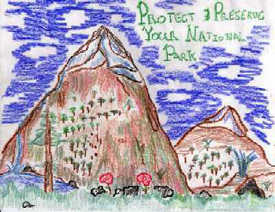 Preserve and Protect Poster