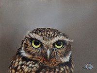 Painting of an owl