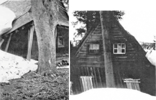 black and white photo showing the winter storm damage to both sides of rustic lodge