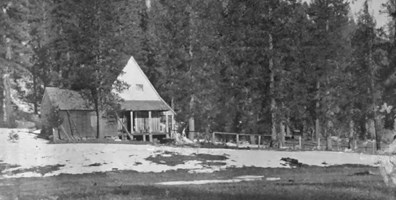 black and white photo of rustic cabin in woods