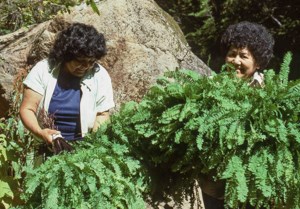 Two women hold large bundles of green fern fronds