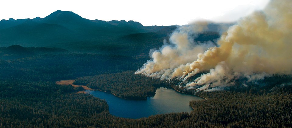 Aerial photograph of smoke rising from a forest with a lake