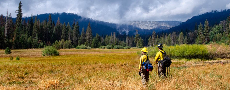 Two people in yellow shirts and green pants wearing backpacks and hard hats look out onto in a yellow-brown meadow edged by conifer trees with small columns of rising smoke and steam, and moderate cloud cover.