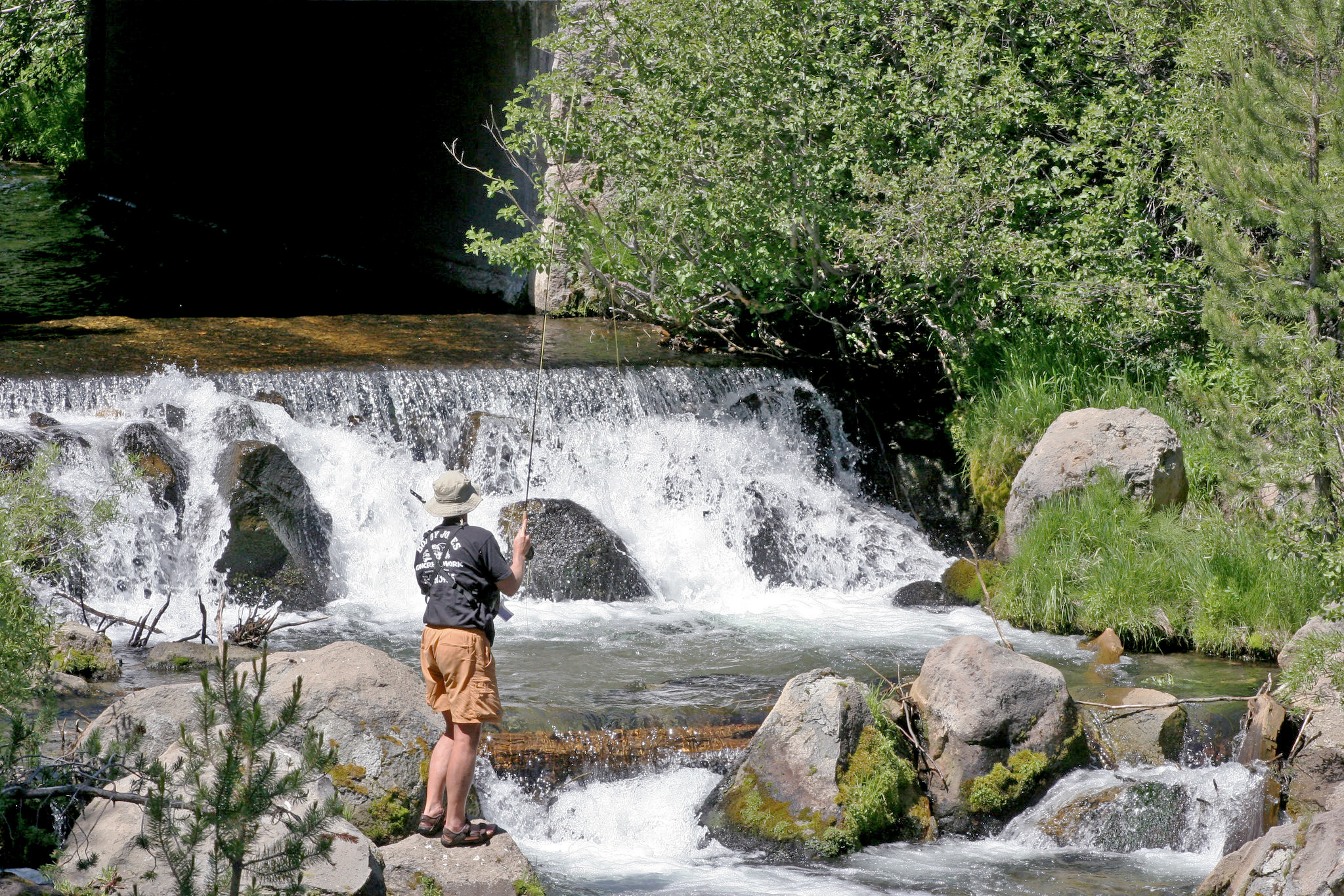 fishing-regulations_2.jpg?maxwidth\u003d650\u0026autorotate\u003dfalse