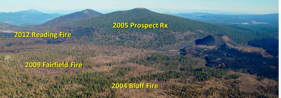 A panoramic view of a forested area with various wildfire impacts with yellow labels for named wildfires including 2021 Reading Fire, 2009 Fairfield Fire, 2005 Prospect Rx, and 2004 Bluff Fire.