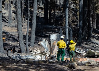Two people in yellow shirts, green pants, and hard hats record data of a destroyed structure backed by conifer trees burned by wildfire.