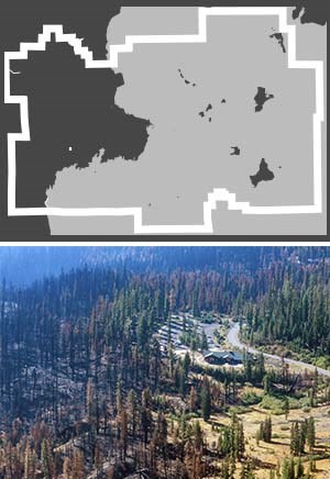 A graphic of a rectangle representing the park mostly covered in a light grey layer representing the footprint of a wildfire.