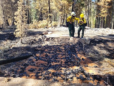 Firefighters stand at the edge of a burned trail footbridge