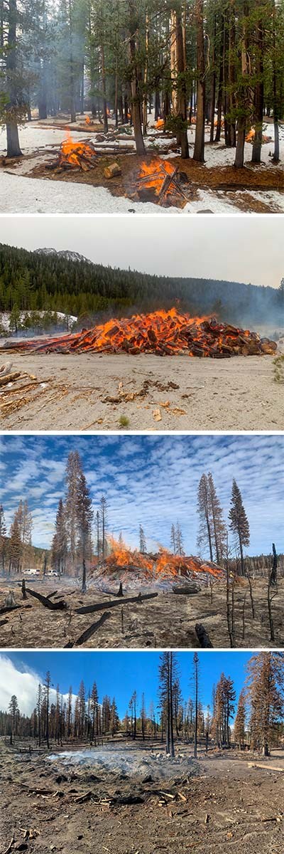 Four stacked images of a large pile and small piles of wood debris burning outside.