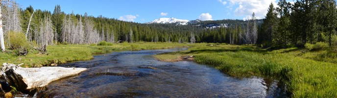 Grassy creek with snow-capped mountain Grassy creek with snow-capped mountain