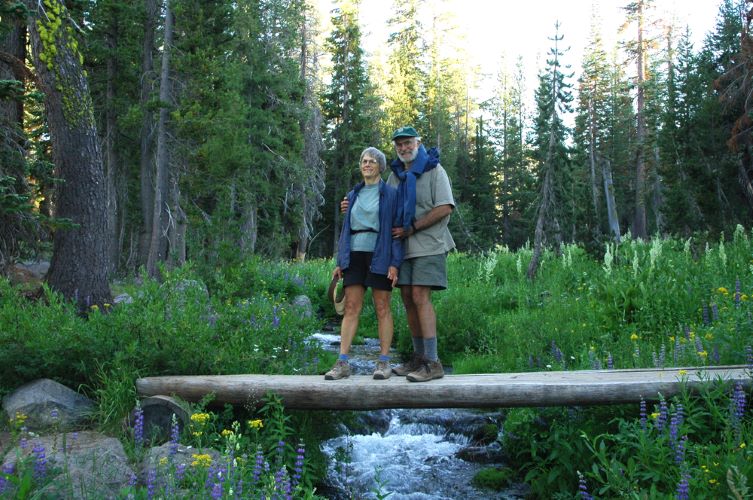 Hikers on a footbridge over a creek surrounded by a flower-filled meadow.