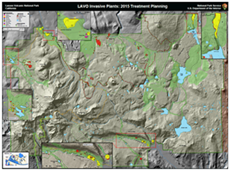 a green topographical map showing nvasive plant plans