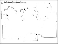 bull thistle map