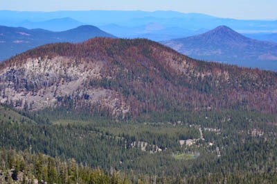 A n aerial view of a mountain landscape covered by conifers. Patches of brown spots amid green trees indicates trees burned by wildfire.