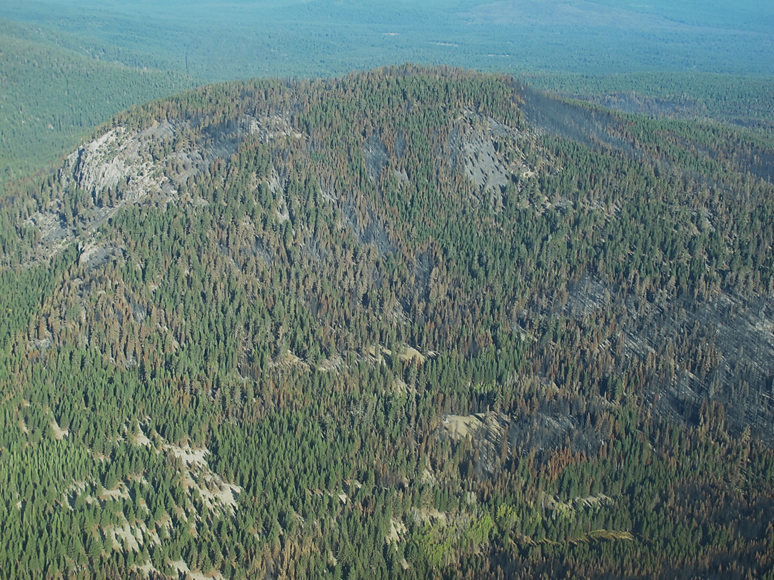 Different levels of fire severity are seen in patches of black where fire burned very hot, brown areas where needles where dead trees still have their needles, and green where fire burned at low severity below trees, or did not burn at all.