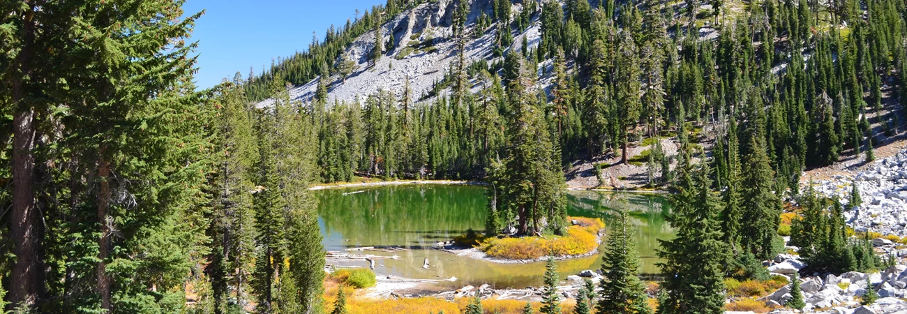 Forest Surrounding Cliff Lake