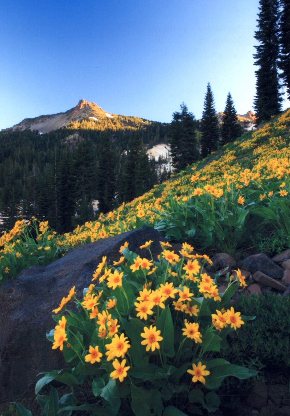 2015 Lassen Annual Pass Photo