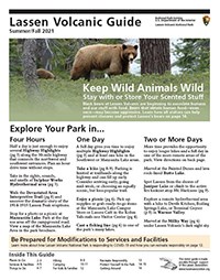 The cover of a document titled "Lassen Volcanic Guide" with a photo of a tan-colored black bear and cub in a forested area.